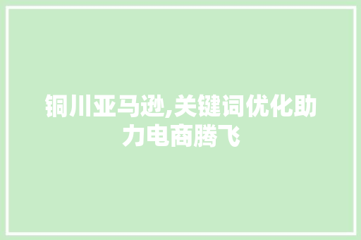 铜川亚马逊,关键词优化助力电商腾飞 神马SEO