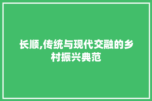 长顺,传统与现代交融的乡村振兴典范 网站建设公司