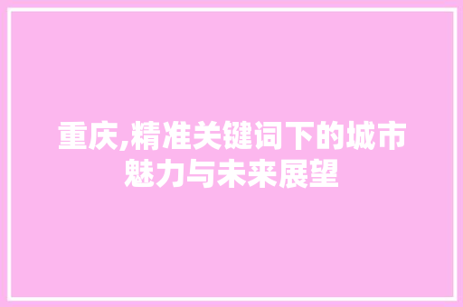 重庆,精准关键词下的城市魅力与未来展望