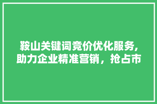 鞍山关键词竞价优化服务,助力企业精准营销，抢占市场先机
