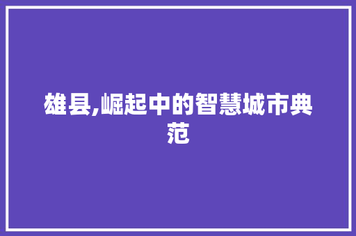 雄县,崛起中的智慧城市典范 百度SEO