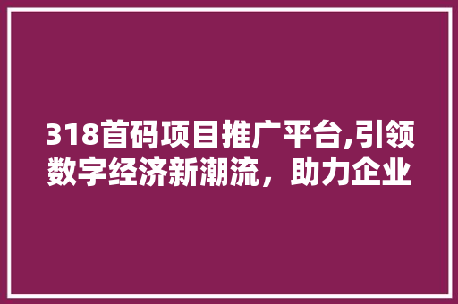 318首码项目推广平台,引领数字经济新潮流，助力企业腾飞 网站建设公司