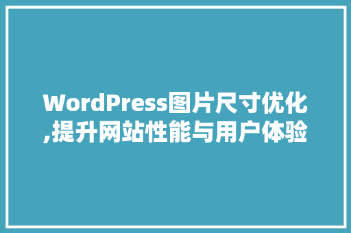 WordPress图片尺寸优化,提升网站性能与用户体验的方法 神马SEO