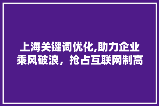 上海关键词优化,助力企业乘风破浪，抢占互联网制高点 百度SEO