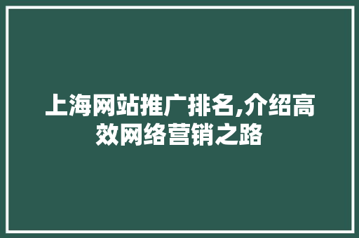 上海网站推广排名,介绍高效网络营销之路 神马SEO