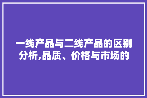 一线产品与二线产品的区别分析,品质、价格与市场的双重考量