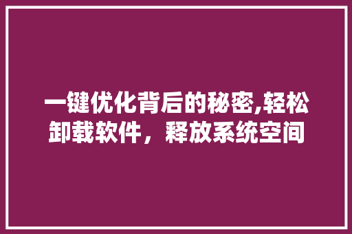 一键优化背后的秘密,轻松卸载软件，释放系统空间 必应SEO