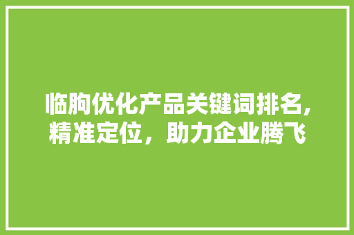 临朐优化产品关键词排名,精准定位，助力企业腾飞 神马SEO