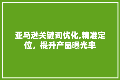 亚马逊关键词优化,精准定位，提升产品曝光率 百度SEO