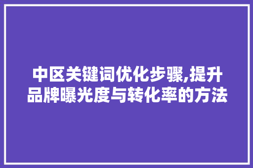 中区关键词优化步骤,提升品牌曝光度与转化率的方法 网站建设公司