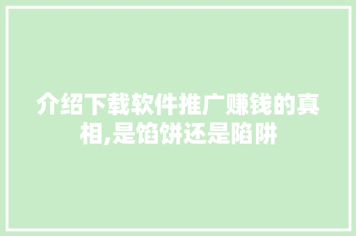 介绍下载软件推广赚钱的真相,是馅饼还是陷阱 网站建设公司