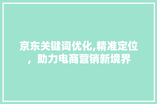 京东关键词优化,精准定位，助力电商营销新境界 搜狗SEO