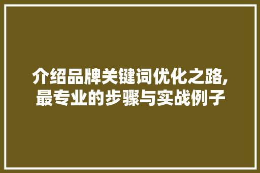 介绍品牌关键词优化之路,最专业的步骤与实战例子 搜狗SEO