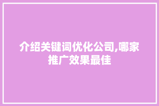 介绍关键词优化公司,哪家推广效果最佳 网站建设公司