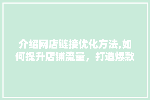介绍网店链接优化方法,如何提升店铺流量，打造爆款商品 网站建设公司