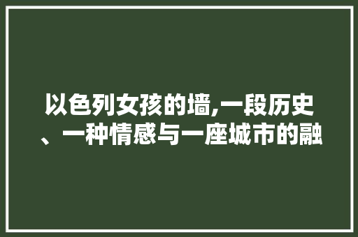 以色列女孩的墙,一段历史、一种情感与一座城市的融合 网站建设公司
