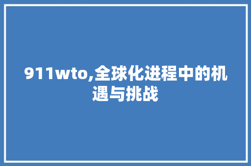 911wto,全球化进程中的机遇与挑战 神马SEO