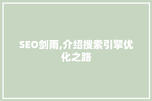 SEO剑雨,介绍搜索引擎优化之路