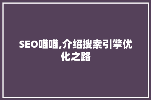 SEO喵喵,介绍搜索引擎优化之路 网站建设公司