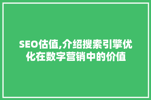 SEO估值,介绍搜索引擎优化在数字营销中的价值 网站建设公司