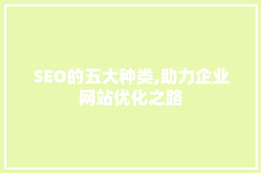 SEO的五大种类,助力企业网站优化之路 网站建设公司