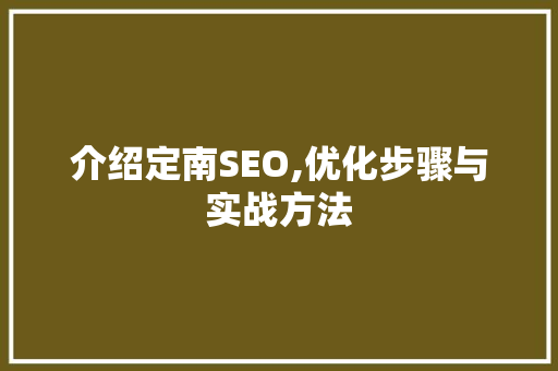 介绍定南SEO,优化步骤与实战方法