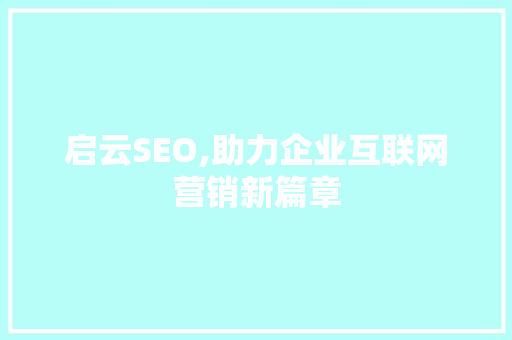 启云SEO,助力企业互联网营销新篇章 网站建设公司