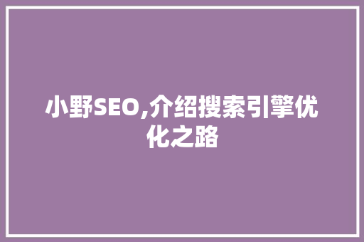 小野SEO,介绍搜索引擎优化之路