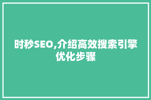 时秒SEO,介绍高效搜索引擎优化步骤 搜狗SEO