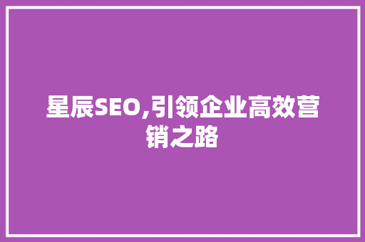 星辰SEO,引领企业高效营销之路 百度SEO