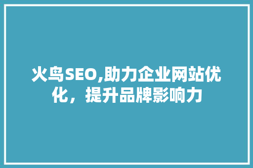火鸟SEO,助力企业网站优化，提升品牌影响力 网站建设公司