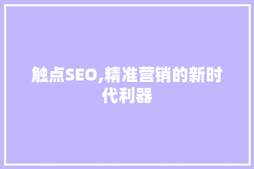 触点SEO,精准营销的新时代利器
