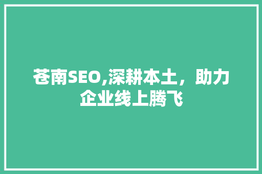 苍南SEO,深耕本土，助力企业线上腾飞 网站建设公司