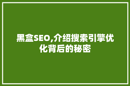 黑盒SEO,介绍搜索引擎优化背后的秘密 百度SEO