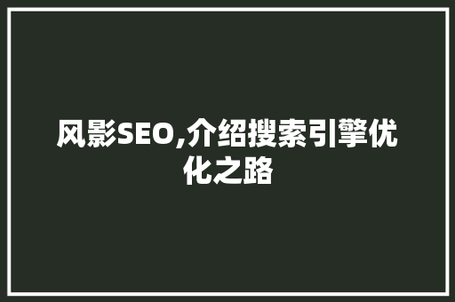 风影SEO,介绍搜索引擎优化之路 百度SEO