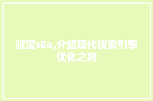 驱宝sEo,介绍现代搜索引擎优化之路 SEO关键词