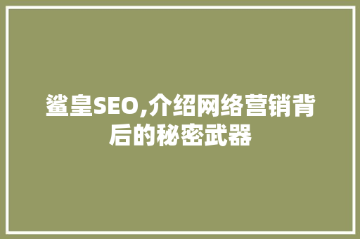 鲨皇SEO,介绍网络营销背后的秘密武器 必应SEO