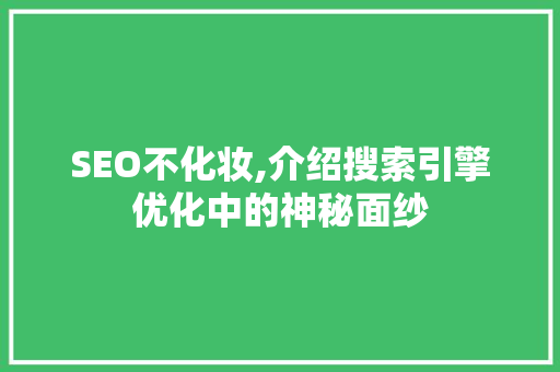 SEO不化妆,介绍搜索引擎优化中的神秘面纱 网站建设公司