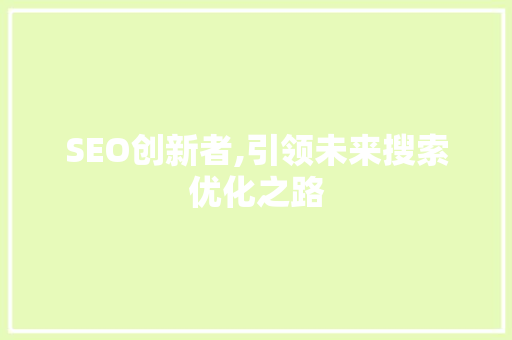 SEO创新者,引领未来搜索优化之路