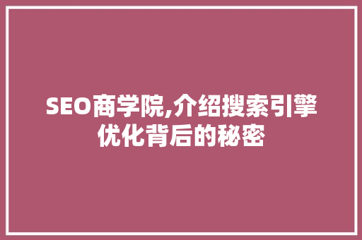 SEO商学院,介绍搜索引擎优化背后的秘密 神马SEO