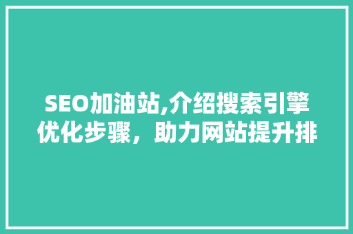 SEO加油站,介绍搜索引擎优化步骤，助力网站提升排名 神马SEO