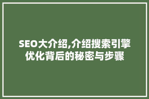 SEO大介绍,介绍搜索引擎优化背后的秘密与步骤 SEO关键词