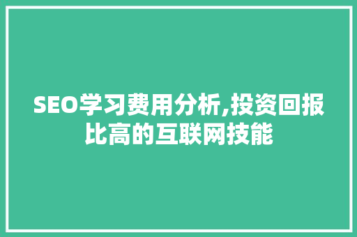 SEO学习费用分析,投资回报比高的互联网技能 SEO关键词