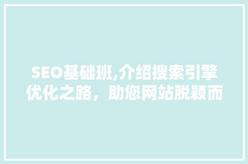 SEO基础班,介绍搜索引擎优化之路，助您网站脱颖而出 SEO关键词