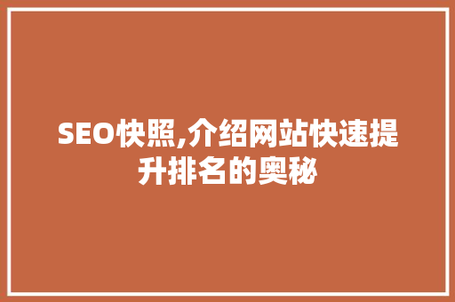 SEO快照,介绍网站快速提升排名的奥秘 SEO关键词