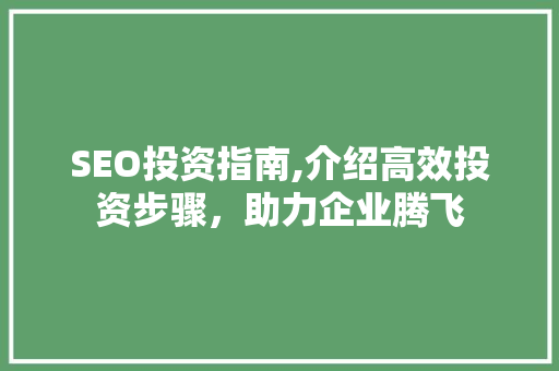 SEO投资指南,介绍高效投资步骤，助力企业腾飞 SEO关键词