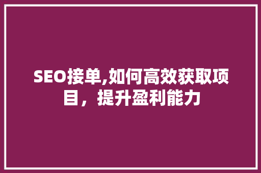 SEO接单,如何高效获取项目，提升盈利能力 百度SEO