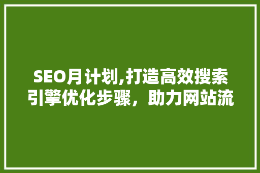 SEO月计划,打造高效搜索引擎优化步骤，助力网站流量提升