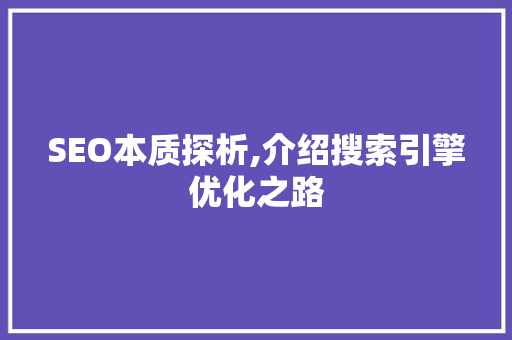 SEO本质探析,介绍搜索引擎优化之路 网站建设公司