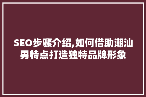SEO步骤介绍,如何借助潮汕男特点打造独特品牌形象